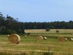 Roling hills - Walpole, Western Australia