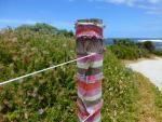 Beach Access - Prevelly beach, Margaret River, Western Australia