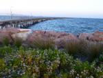 Old Jetty - City of Esperance, Southwest Australia