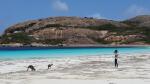 Roo Models - Lucky Bay, Esperance, Southwest Australia