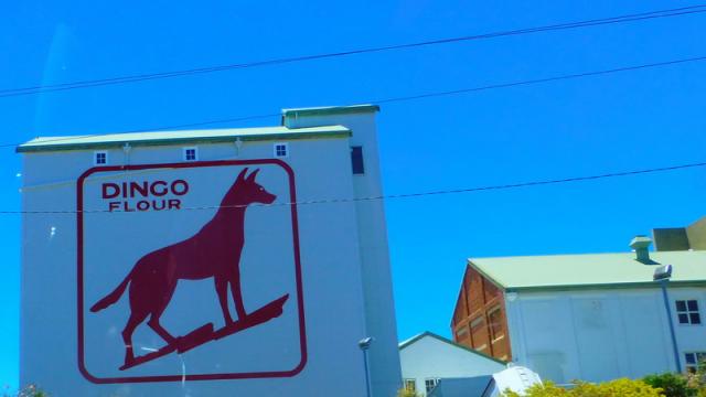 Dingo flour - Industrial buildibg, Perth, Western Australia