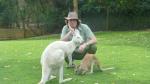  Feeding the roos - Caversham Wildlife Park, Perth, Western Australia