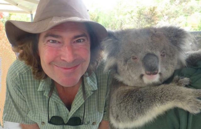 Marcs Koala - Caversham Wildlife Park, Perth, Western Australia