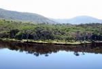 Bush at River in Wilsons Prom - Victoria, Australia