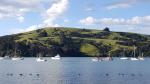 Ducks and sailing boats - Akaroa, Banks Peninsula, New Zealand
