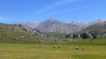 Southern alpes - Coastal Highway, Hamner Springs Region, New Zealand