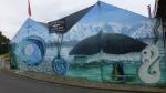 Murals on the wall - Kaikoura, Westcoast, New Zealand