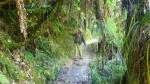 On the track - Abel Tasman National Park, South New Zealand