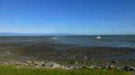 Low tide - Nelson Region, South New Zealand 