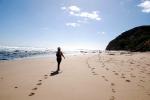 Lonesome Wreck Beach - Great Ocean Road, Victoria, Australia