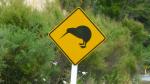 Kiwi Crossing - Matapouri road, Northland Region, North New Zealand