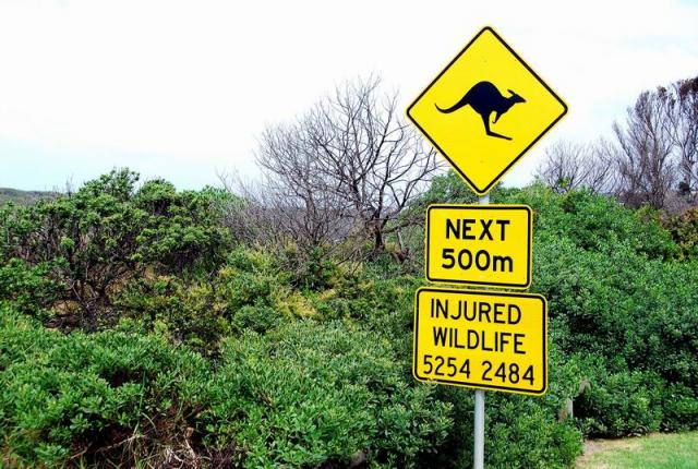 Roadsigns near Anglesea - Great Ocean Road, Victoria, Australia