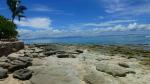 Stony beginning of coral reef - Beachcomber Island, Mamanuca Group, Fiji Islands
