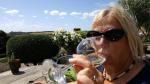 Vine Tasting - Vineyard Island Waiheke, Auckland, North New Zealand