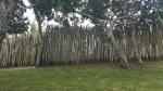 Tradional Kanak fence - Tjibaou Cultural Centre, Noumea, New Caledonia