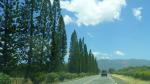 Typical road scene - La Foa, New Caledonia