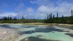 Natural pools - Oro bay, Ile des Pins, New Caledonia