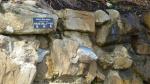 Groper fish on wall - Manly Beach, Sydney, New South Wales, Australia