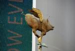 Flying Pig on Swanston Street - Melbourne, Victoria, Australia