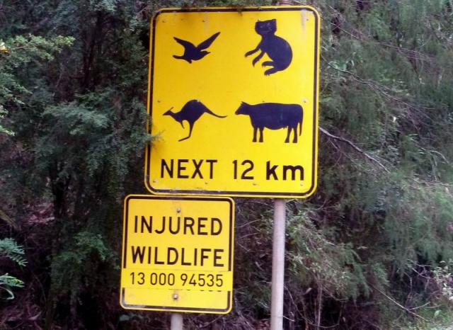 Roadsign Otway National Park - Great Ocean Road, Victoria, Australia