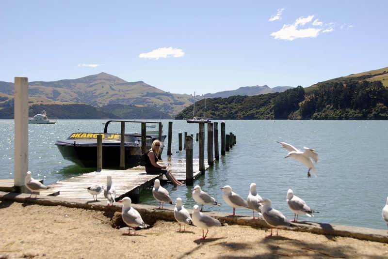 Bayside - Akaroa harbour, South NZ