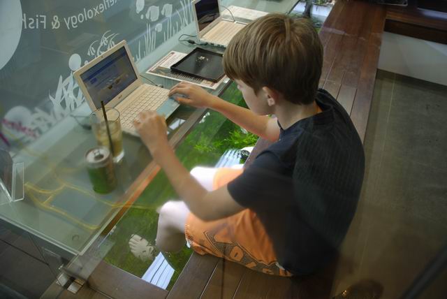 Cleaning feet while surfing  - Fish Spa Internet Cafe, Singapore