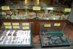 Crabs waiting for customers - Boat Quay, Singapore