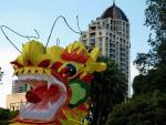 Chinese Dragon - Lantern Festival, Auckland, North NZ