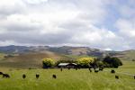 Travelling the Twin Coast - Kaihohe,  North NZ