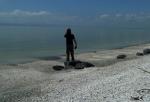 Shelly Beach - Miranda, Hauraki Gulf, North NZ