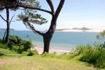 Sand Dunes at North Head - Hokianga Harbour, Westcoast, North NZ