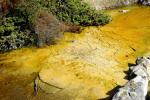 Yellow mud earth in Kuirau Park - Rotorua, Central Northland, NZ
