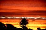 Sunset in Cabbagetree - Papamoa Beach, Bay of Plenty, North NZ