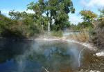 Steamy Pool - Kuirau Park, Rotorua, Central Northland, NZ