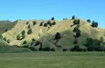 Rolling Hills - Hawkes Bay, North NZ