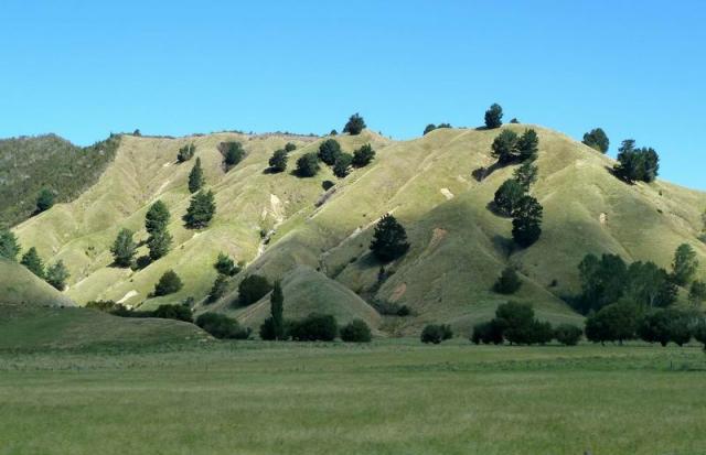 Rolling Hills - Hawkes Bay, North NZ