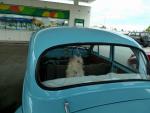 Charlys Car - Petrol Station, Hastings, North NZ