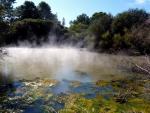 Hot Water Pool in Kuirau Park - Rotorua, Central Northland, NZ