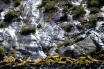 Rocks in the sun - Franz-Josef-Glacier, Westcoast, South NZ