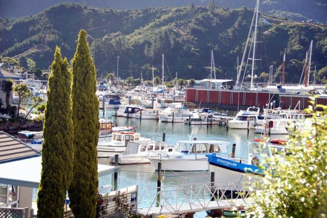 Picton Harbour View - South NZ