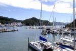 Ferry Boat in Picton Harbour - Picton, South NZ