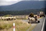 Men and dogs at work - Milford Road, Southland, South NZ