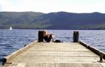 Lazy Going - Lake Te Anau, Southland, South NZ