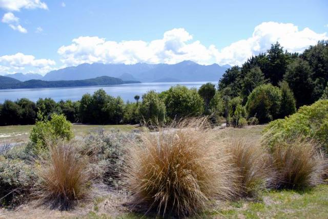  View over Manapouri Lake - Southland, South NZ