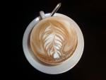 Fern on Flat White Coffee - Robert Harris Coffeebar, South NZ