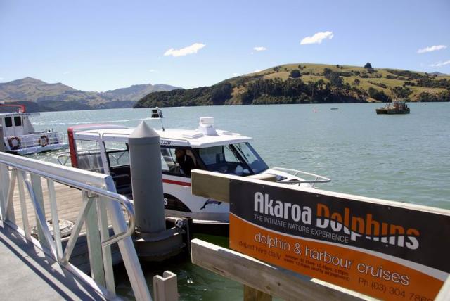 Dolphin Cruises - Akaroa Peer, South NZ