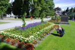 Beautiful flowers - Botanic Gardens, Christchurch, NZ