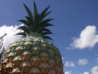 Big Pineapple - Brisbane, East Coast Queensland, OZ