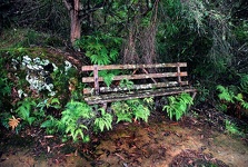 Bench at Viewpoint - Blue Mountains, New South Wales, Australia