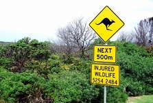 Roadsigns near Anglesea - Great Ocean Road, Victoria, Australia